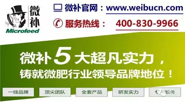 余教授奧地利鄉(xiāng)村行：萬(wàn)科為什么說(shuō)把奧地利小鎮(zhèn)搬回來(lái)？