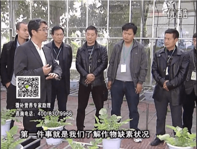 20160418珠江臺搖錢樹：和重慶種植業(yè)主走進微補，探秘微補生產(chǎn)研發(fā)技術(shù)