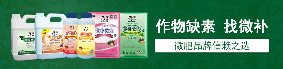 微肥廠家 微肥廠家